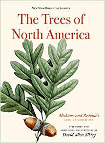 THE TREES OF NORTH AMERICA