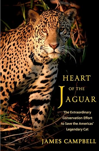 HEART OF THE JAGUAR